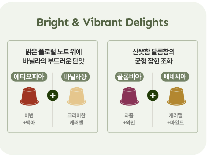 3. Bright & Vibrant Delights