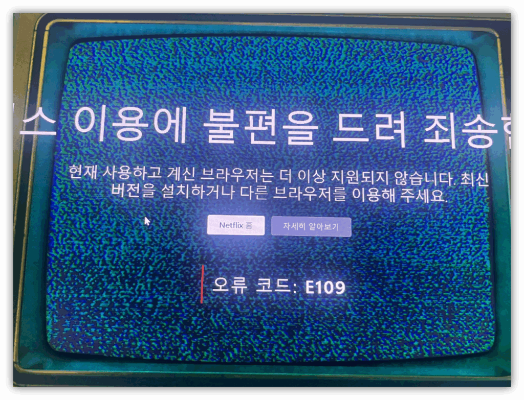 넷플릭스 E109 에러가 뭔가요?? 원인 및 조치방법 안내
